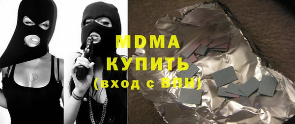 гашик Алексин