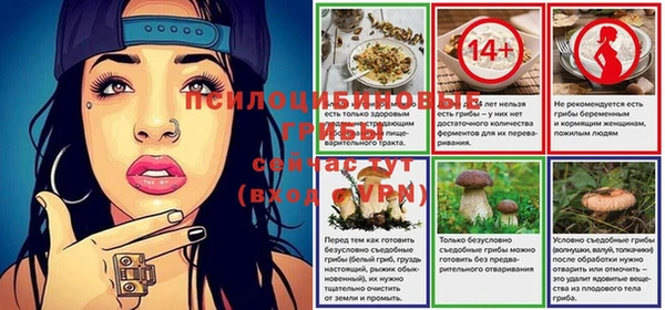 гашик Алексин