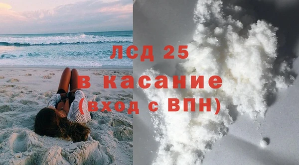 гашик Алексин