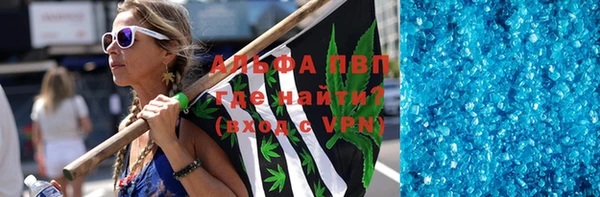 гашик Алексин