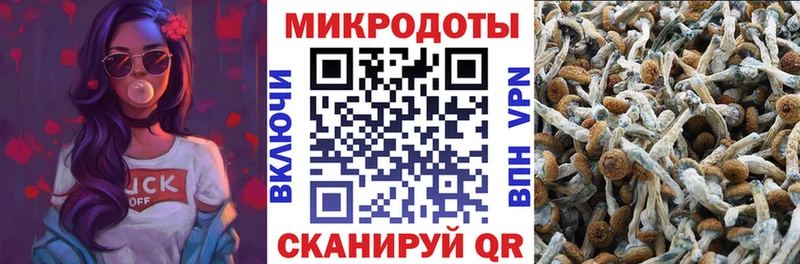 Галлюциногенные грибы мицелий Орёл